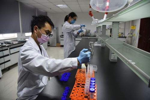 以技術為盾，護航人民健康 記開封市食藥檢驗所的疫情逆行者